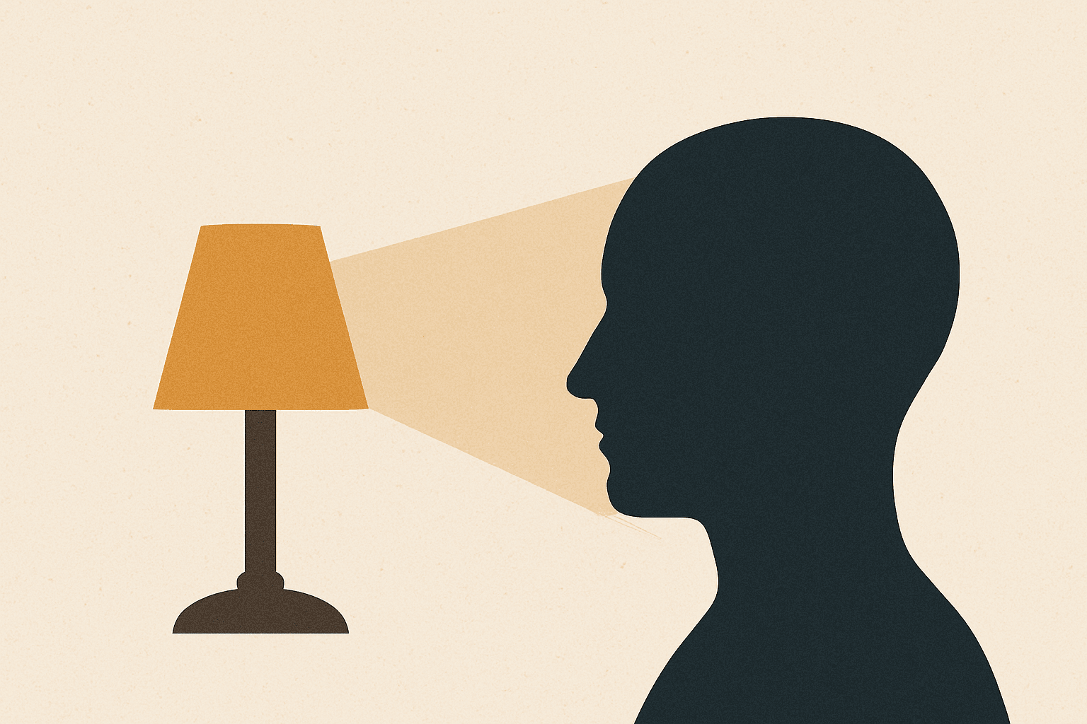 Cover image for Dim Reflections